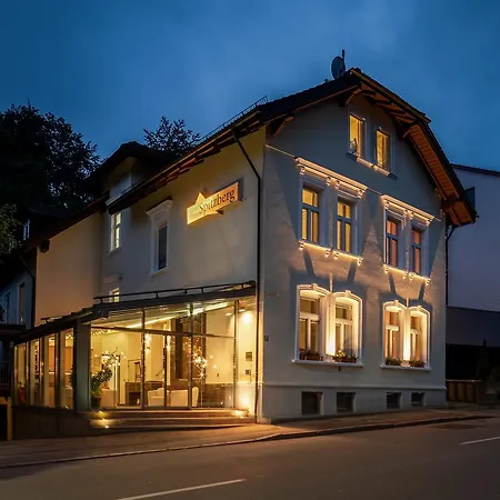 Spitzberg Garni Пассау