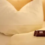 Hotel Spitzberg Garni Passavia