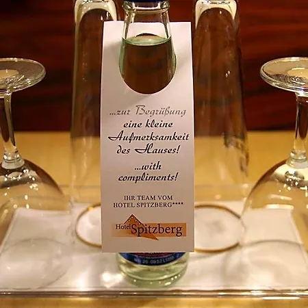 Spitzberg Garni Hotel 3*
