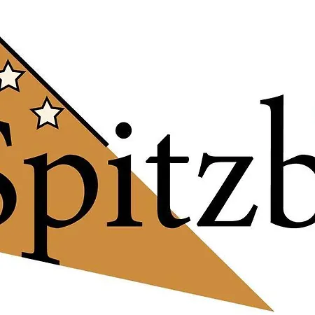 Отель Spitzberg Garni 3*