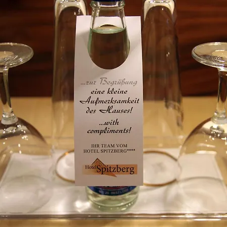 Spitzberg Garni 3* Πασάου