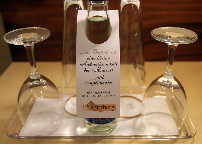 ホテル Spitzberg Garni 3*