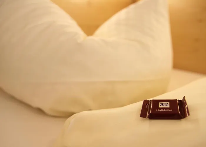 ホテル Spitzberg Garni パッサウ