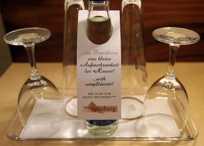 Spitzberg Garni 3* パッサウ